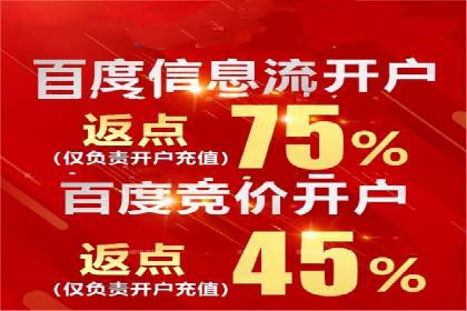 深度解析：百度竞价排名的成功案例及启示